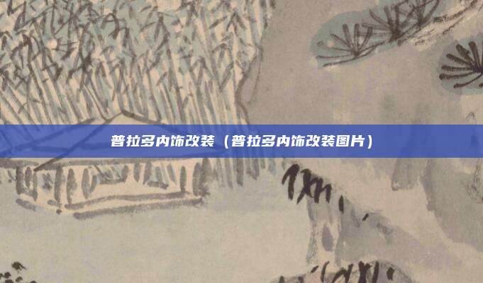 普拉多内饰改装(普拉多内饰改装图片)