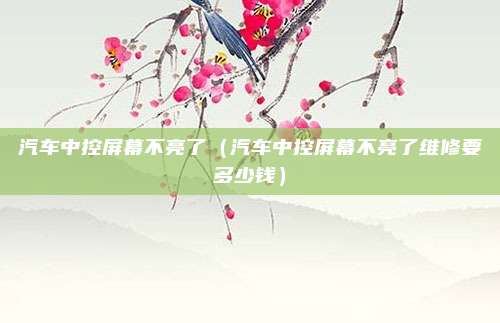 汽车中控屏幕不亮了(汽车中控屏幕不亮了维修要多少钱)